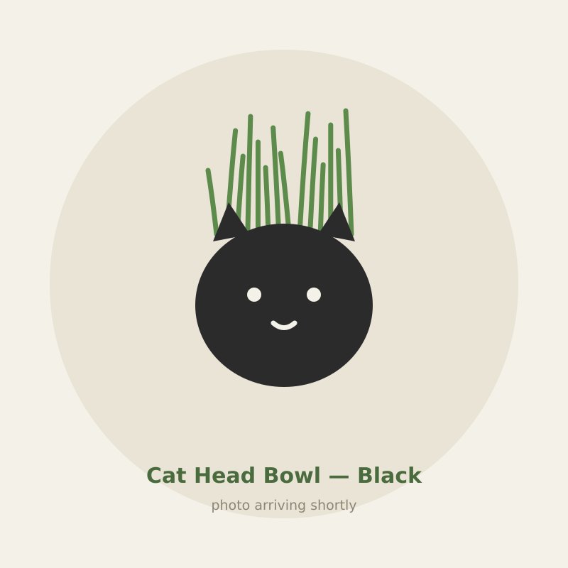 Cat Head Bowl — Black cat grass planter