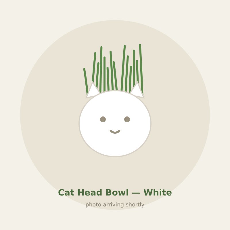 Cat Head Bowl — White cat grass planter