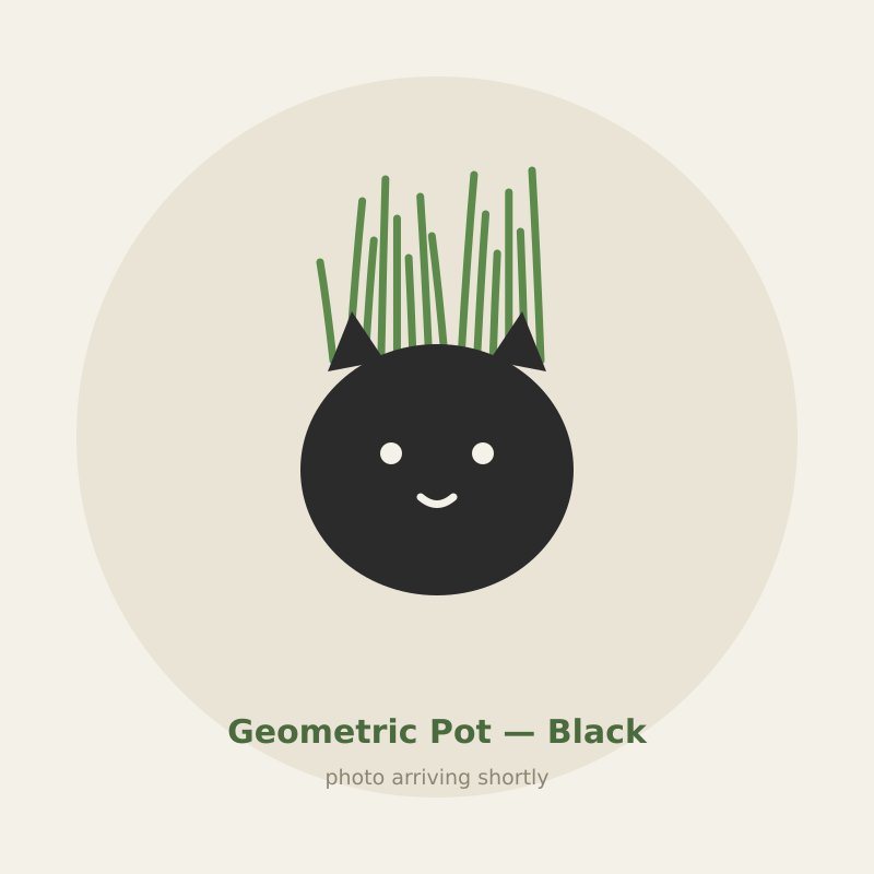 Geometric Pot — Black cat grass planter