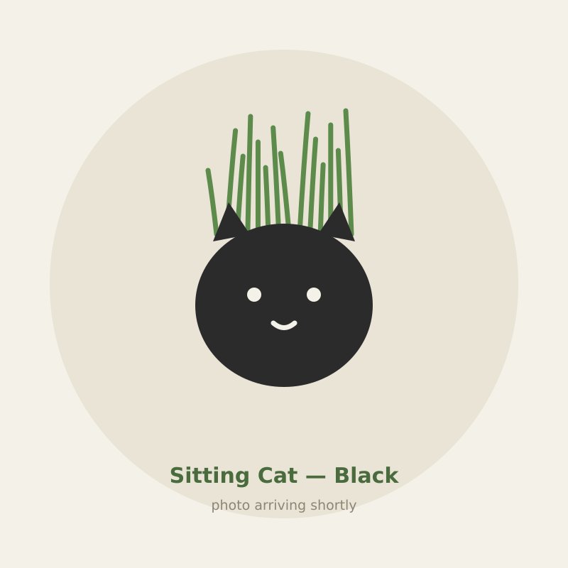 Sitting Cat — Black cat grass planter