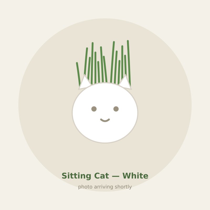 Sitting Cat — White cat grass planter